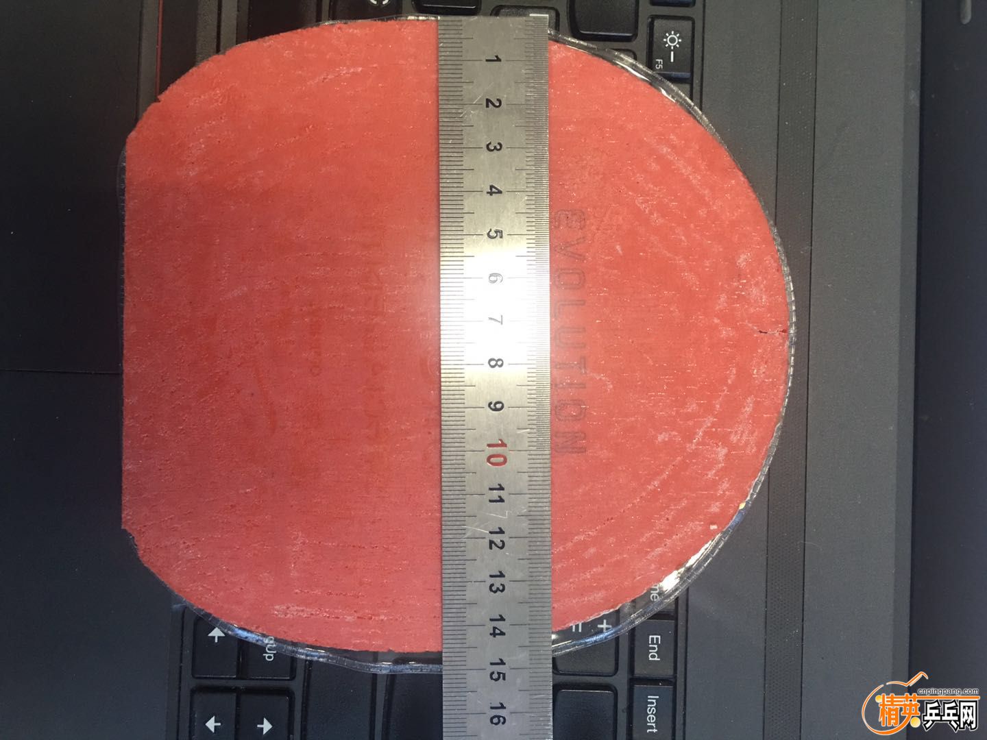 ELP��ɫ ��14.6.jpg