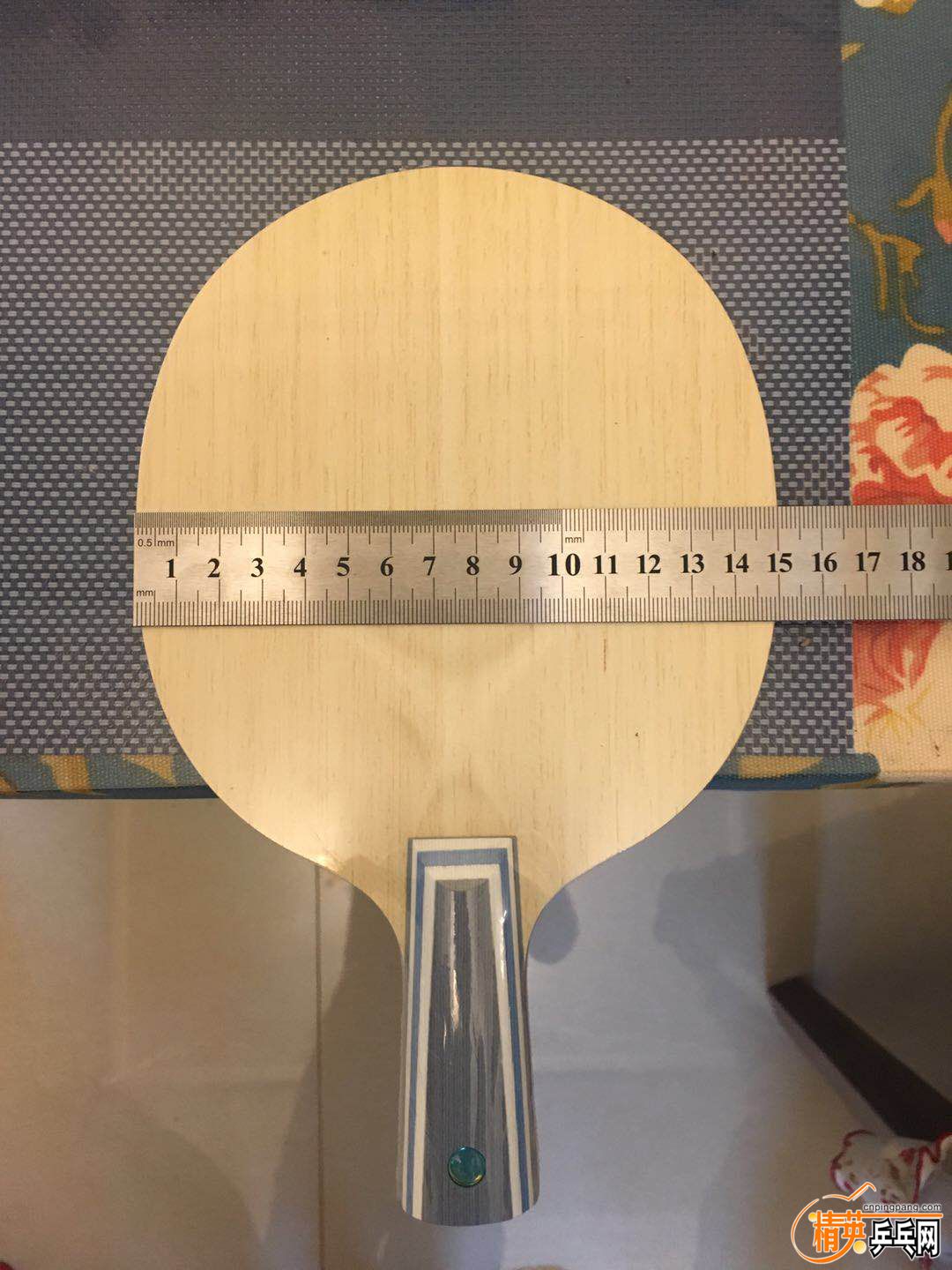 446396077.jpg