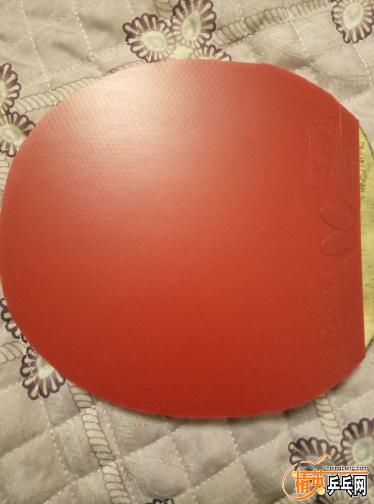 P90122-220121.jpg