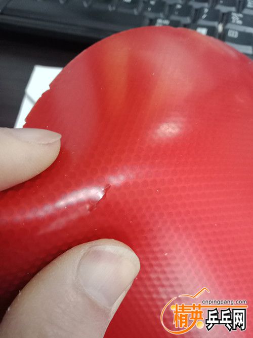 IMG20190123074801_.jpg