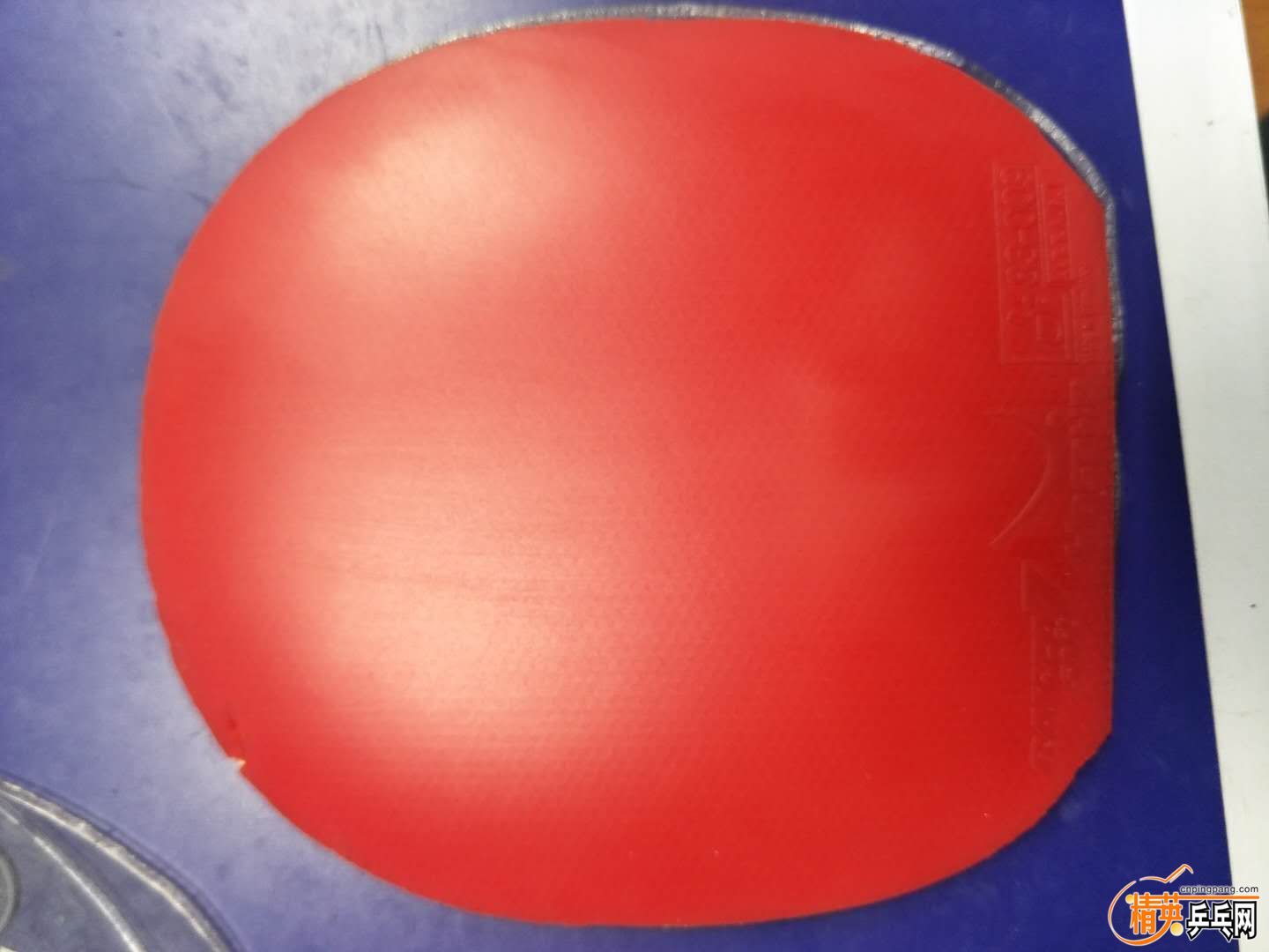 890509763.jpg