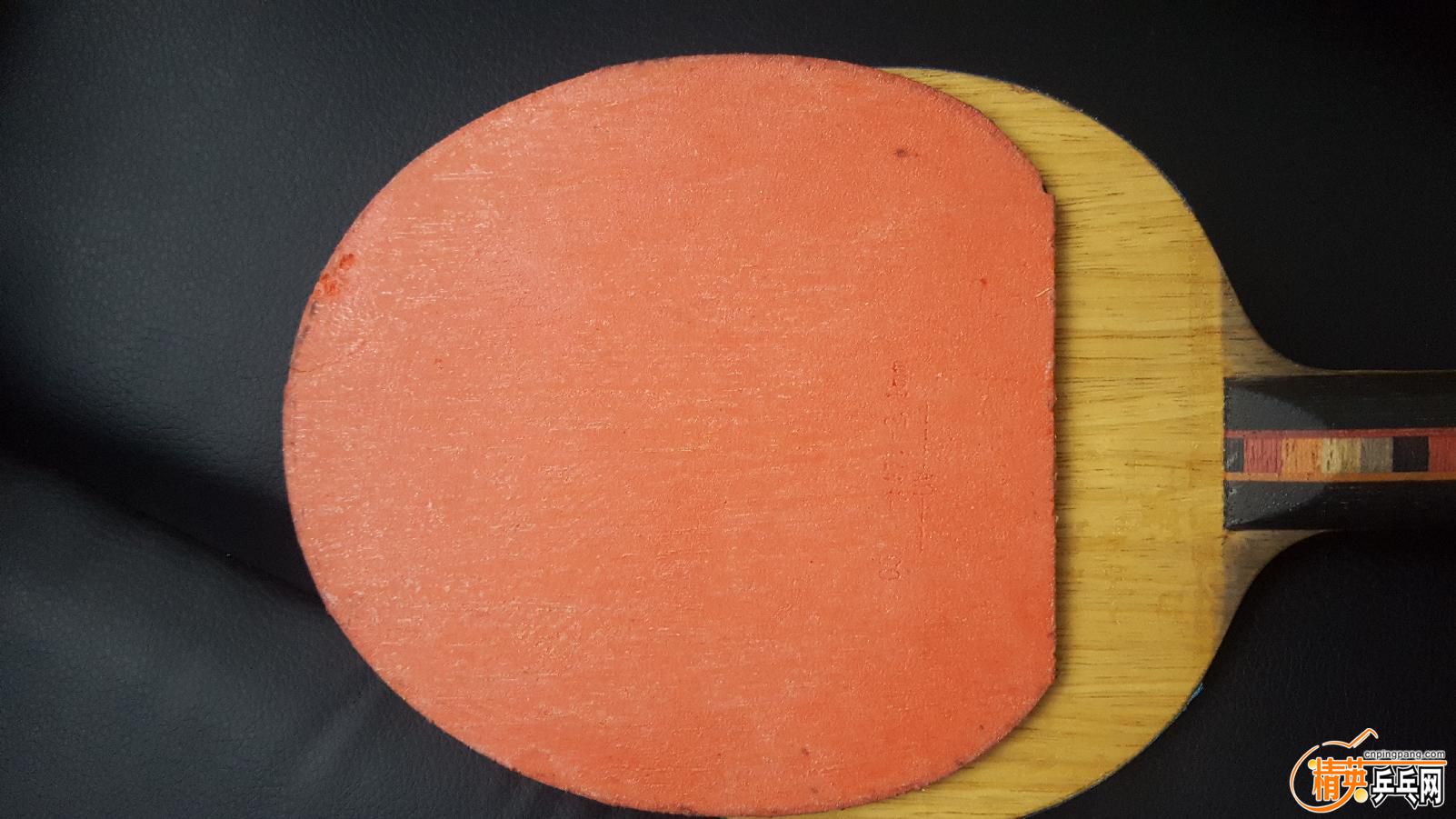 155718pumgleueotc0mmll.jpg