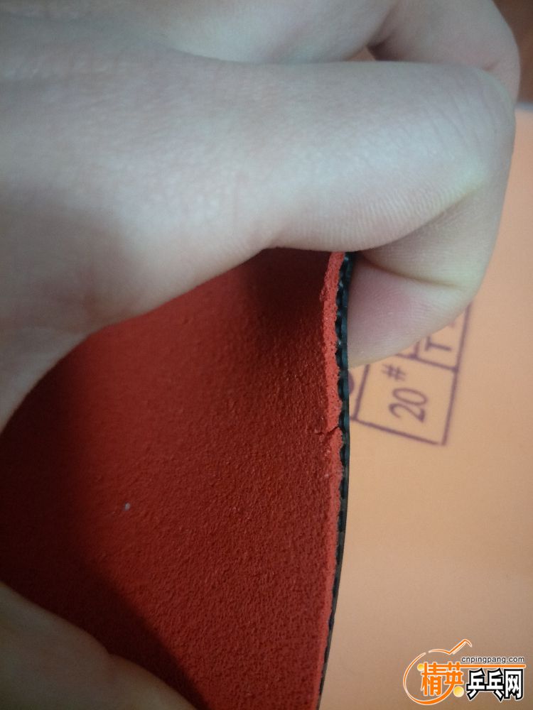 IMG20190213131431.jpg