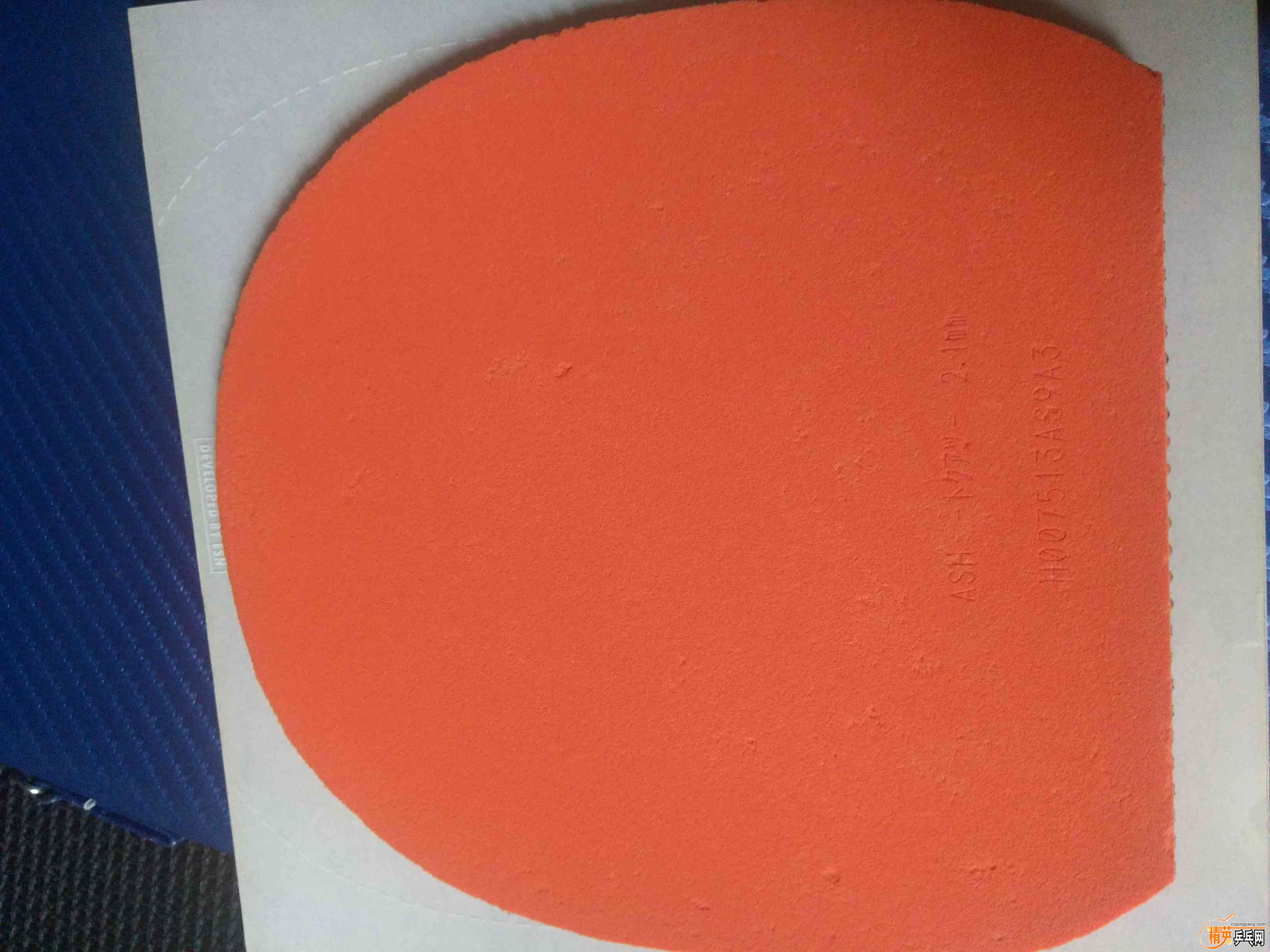 IMG_20190224_123748 1.jpg