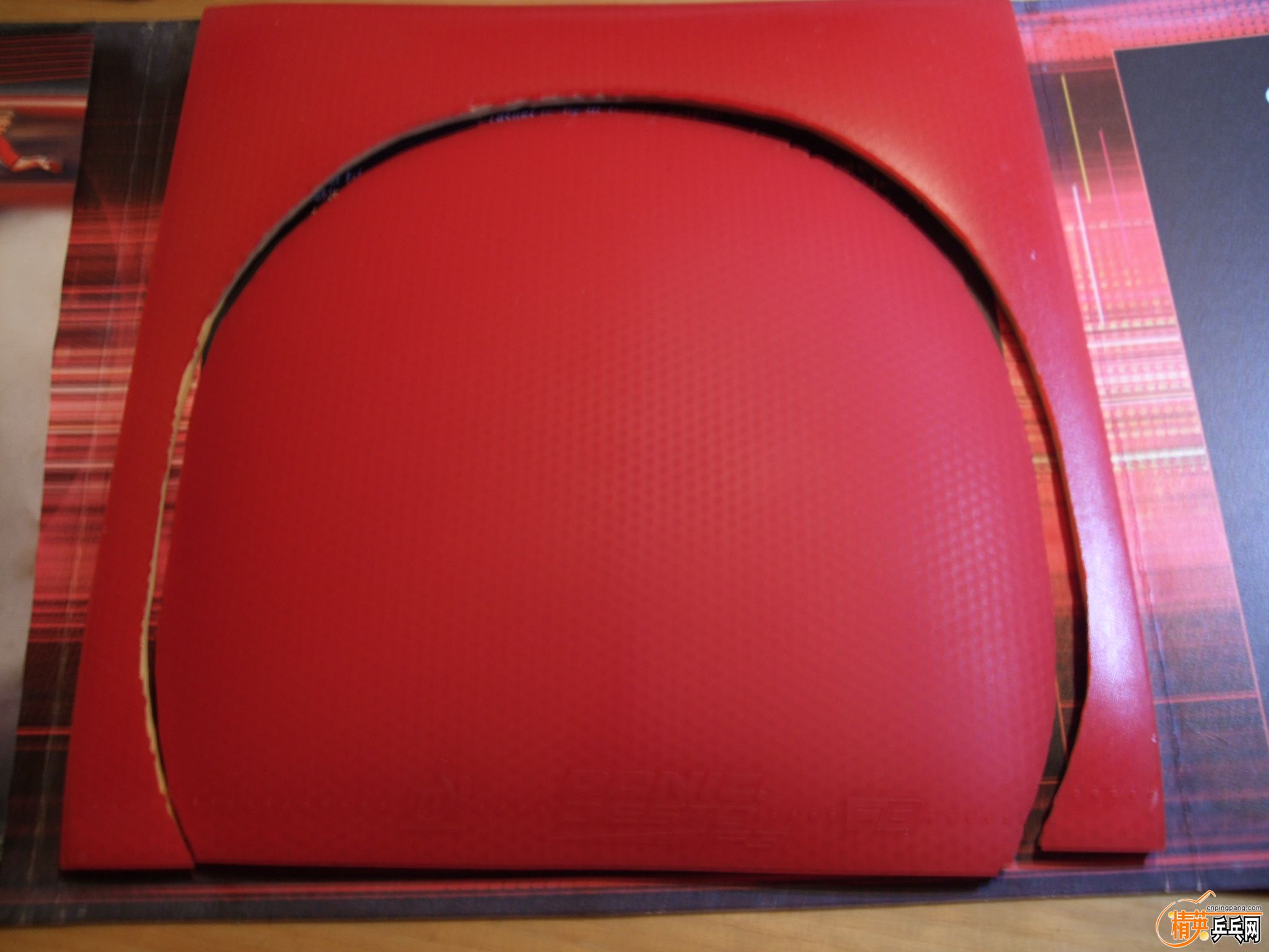 DSCF8188.JPG
