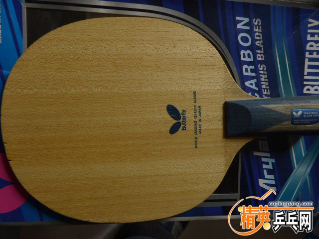 P1050986.JPG