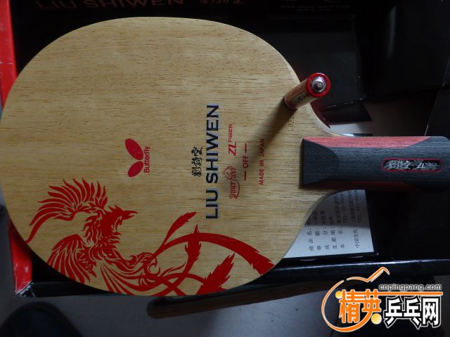 P1050998.JPG