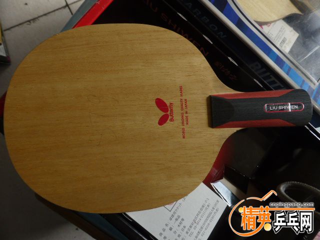 P1060001.JPG