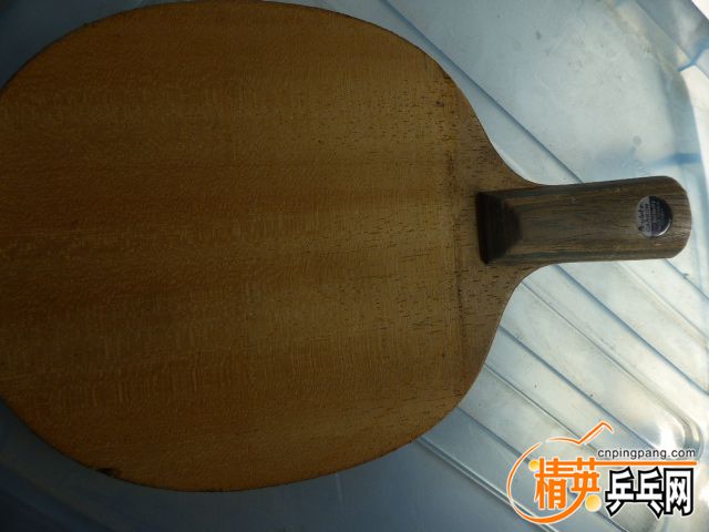 P1060022.JPG