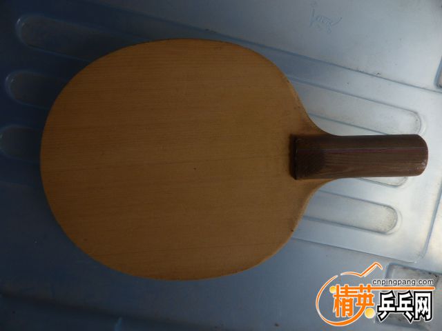 P1060036.JPG