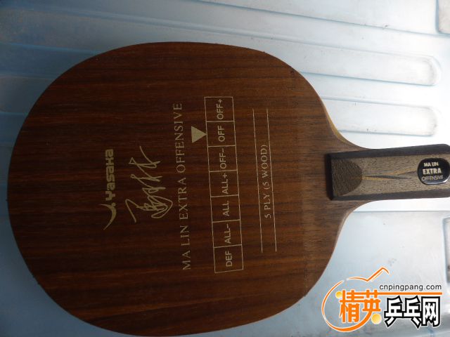 P1060042.JPG
