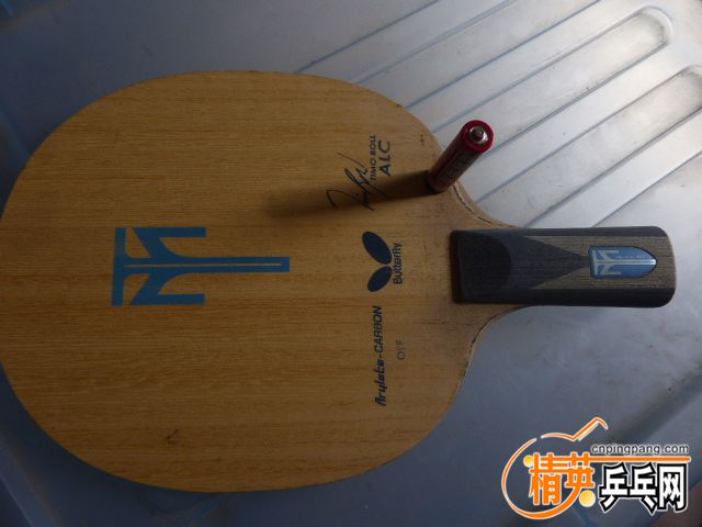 P1060046.JPG