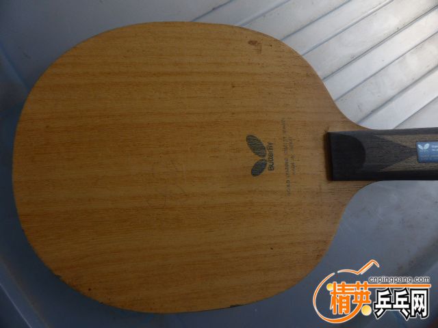 P1060048.JPG