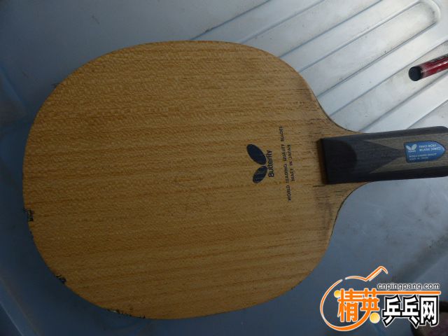 P1060059.JPG