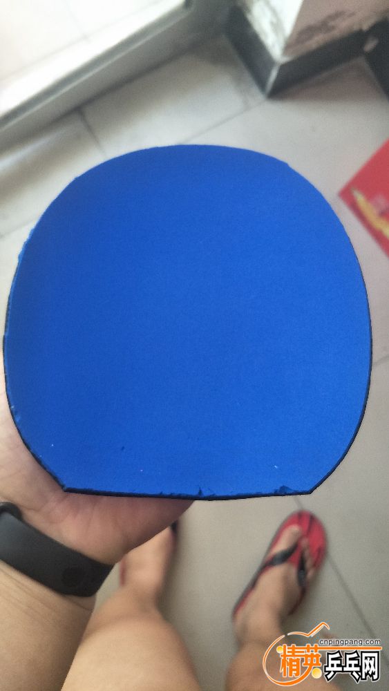 IMG20190313083121.jpg