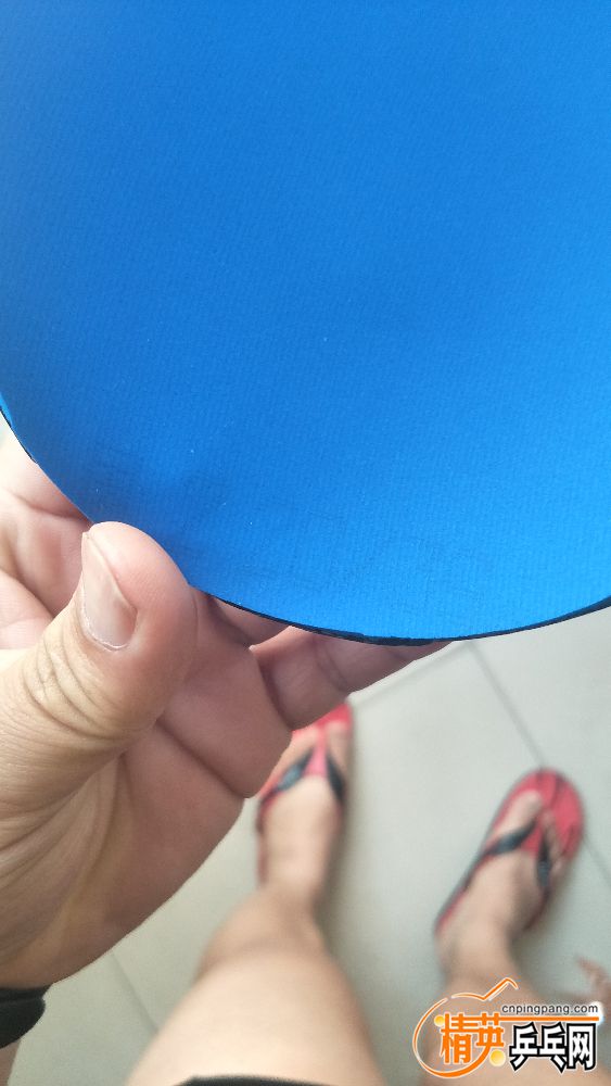 IMG20190313083131.jpg