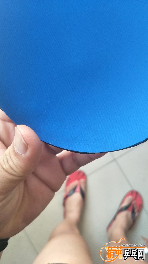 IMG20190313083134.jpg