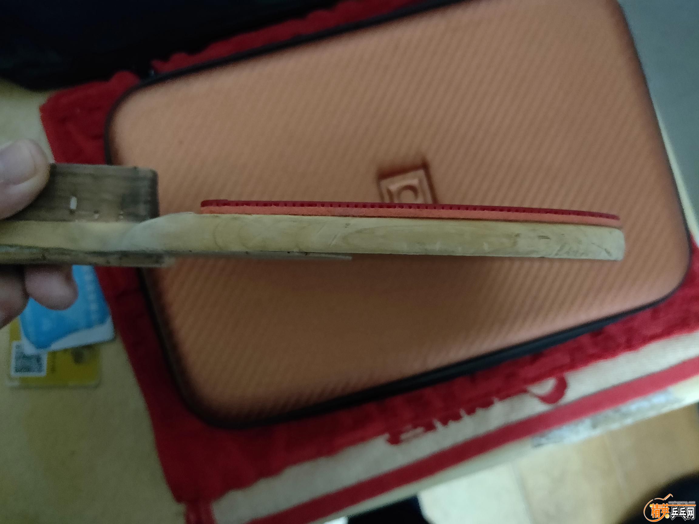 IMG20190320081746.jpg