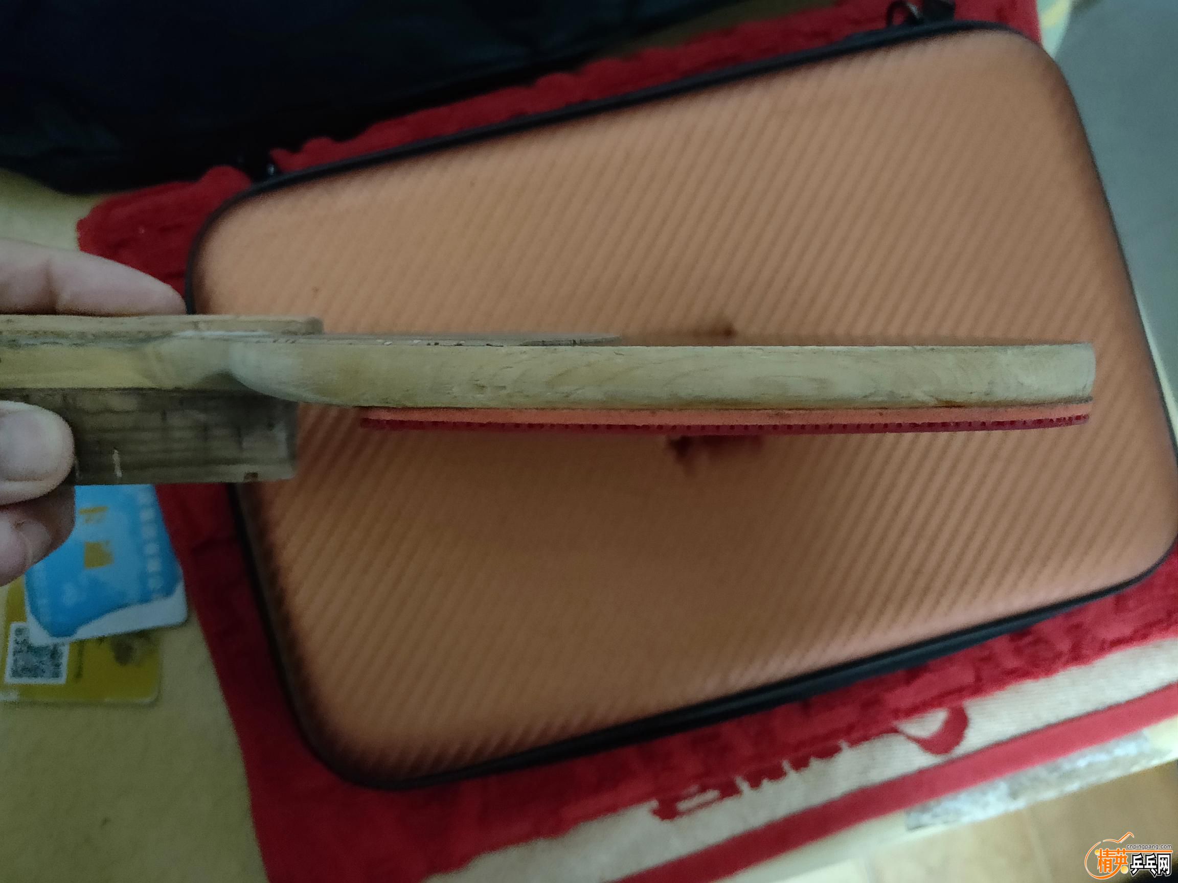IMG20190320081759.jpg