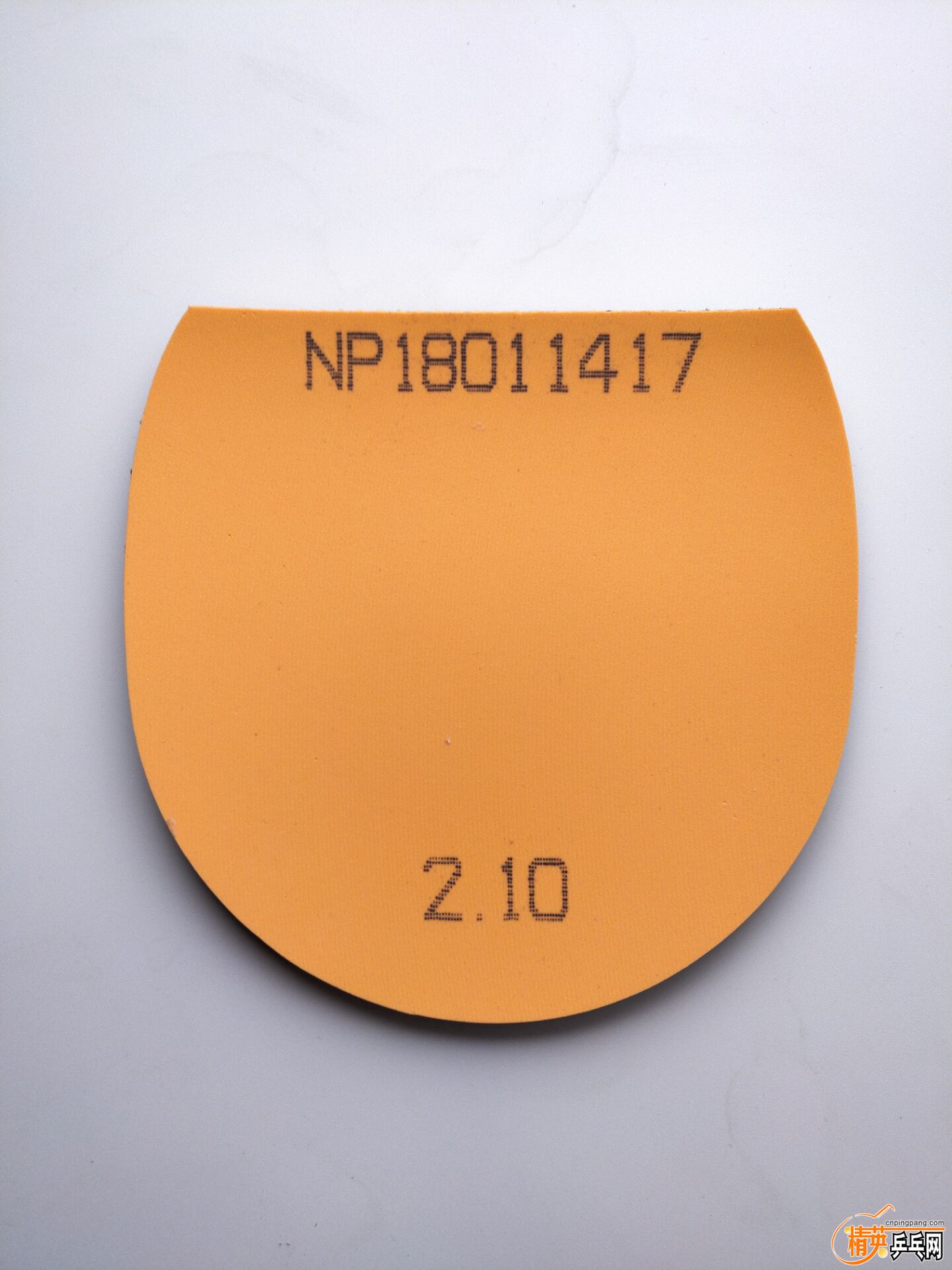 62EB44D572A030DAC54E5FDAB91030D9.jpg