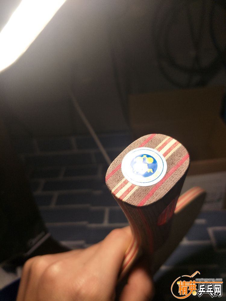 IMG20190323212933.jpg