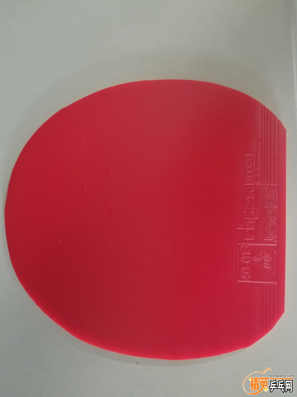 20190328_122558.jpg
