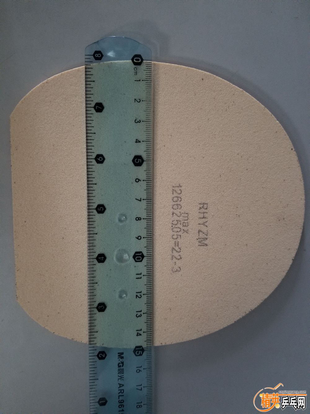 20190328_121218.jpg