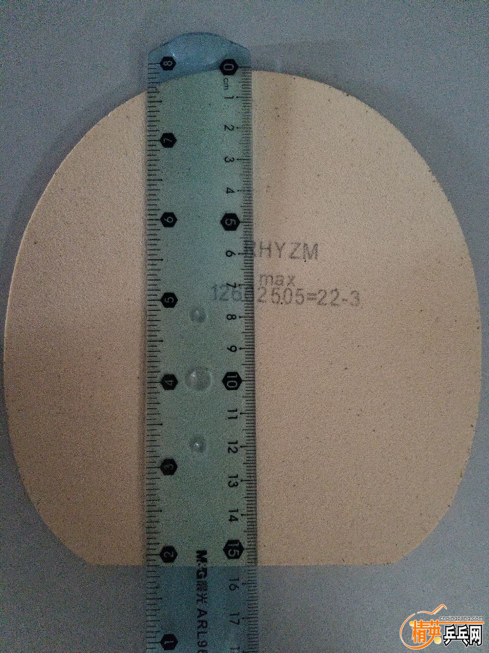 20190328_121255.jpg