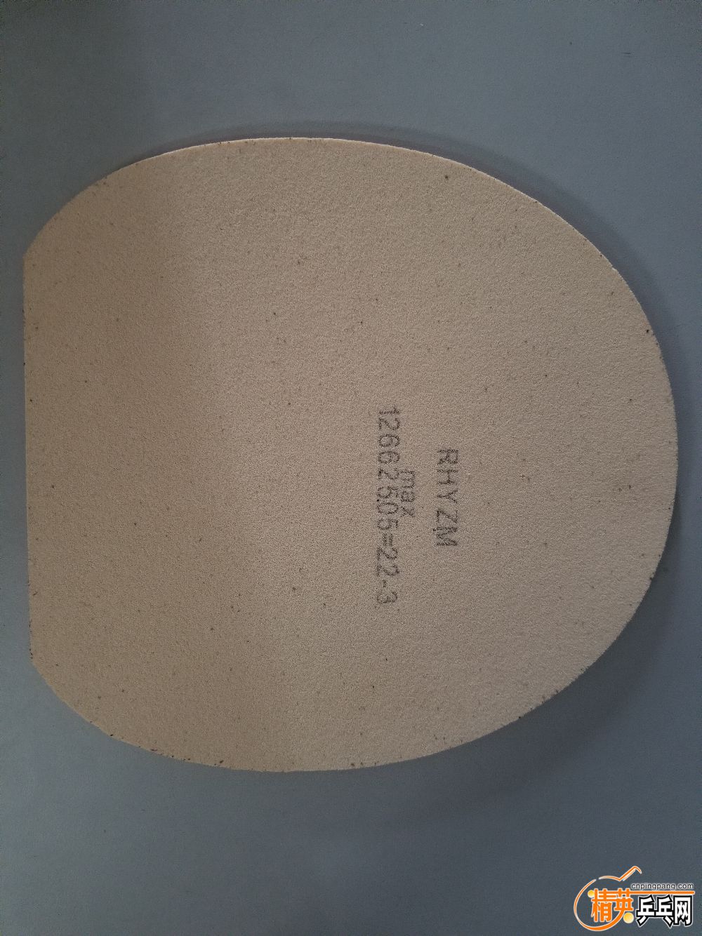 20190328_121307.jpg
