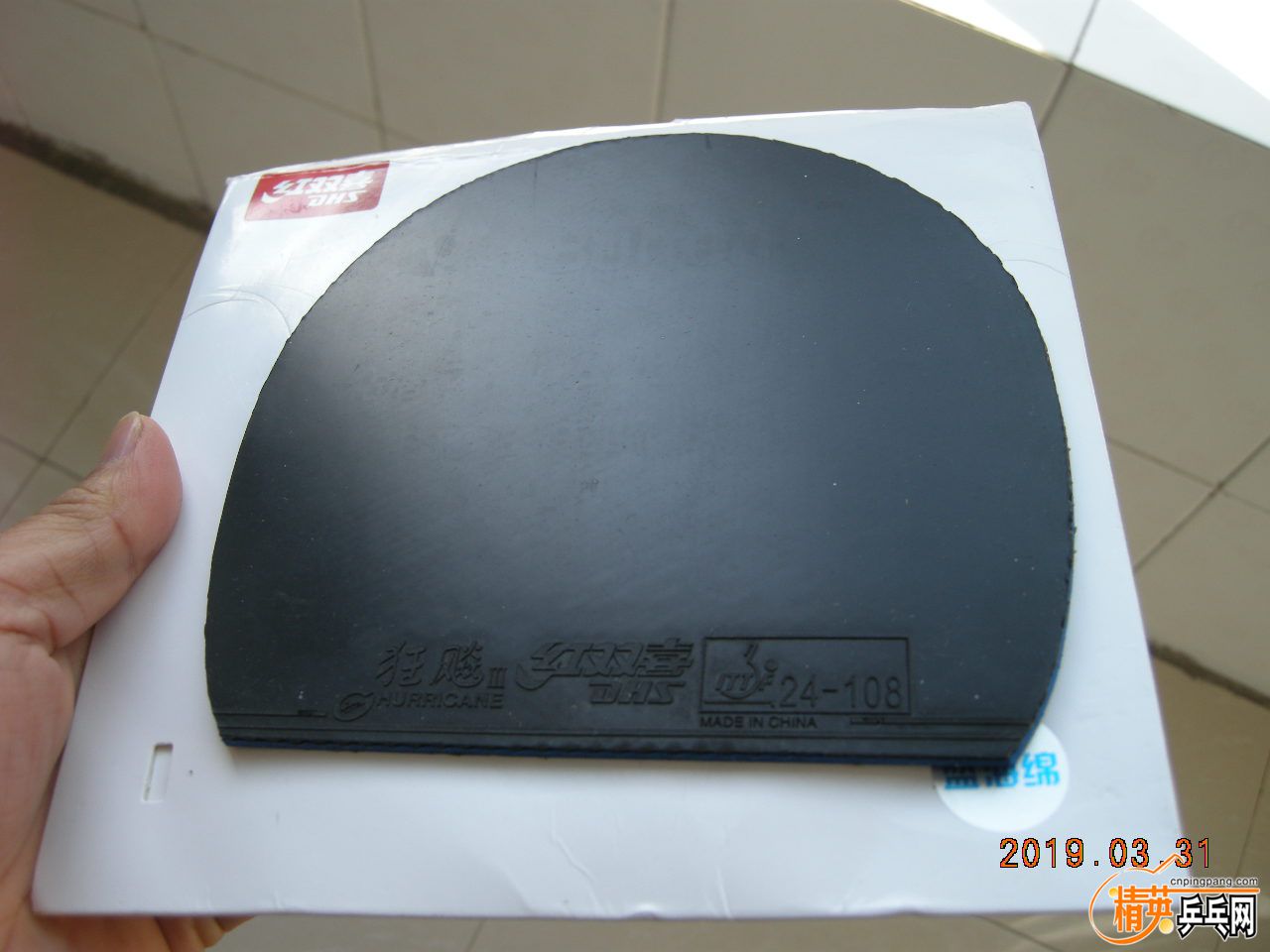 DSCN9375.JPG