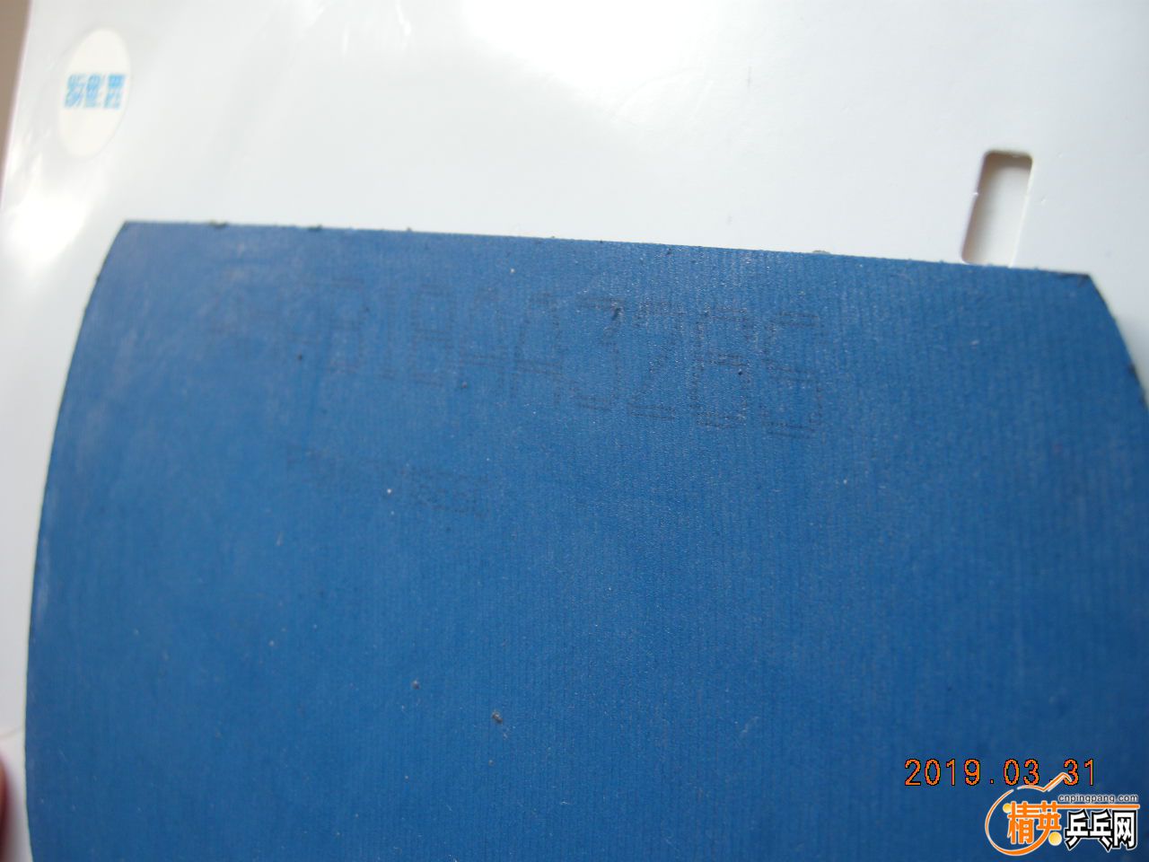 DSCN9380.JPG