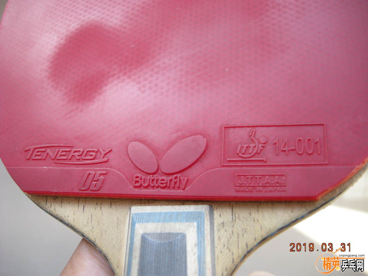 DSCN9372.JPG