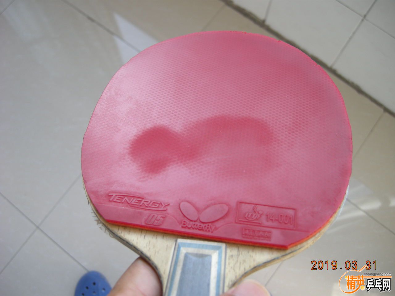 DSCN9371.JPG