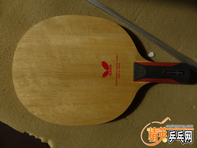 P1060110.JPG