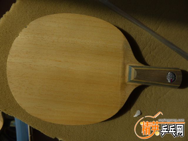 P1060128.JPG