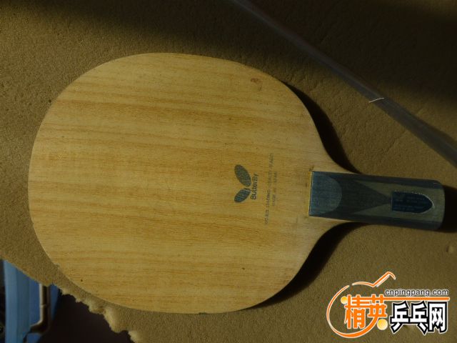 P1060159.JPG