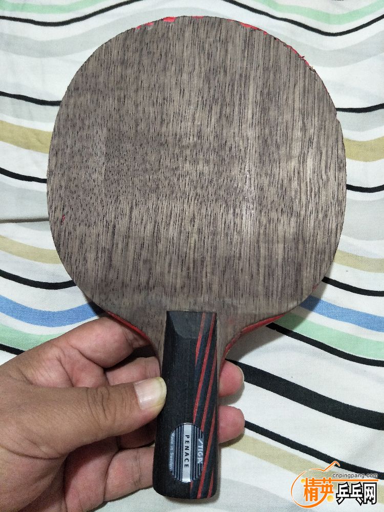 IMG20190401235151.jpg