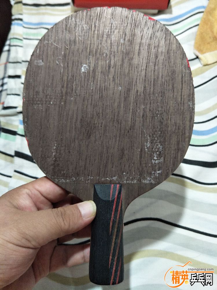 IMG20190401235233.jpg