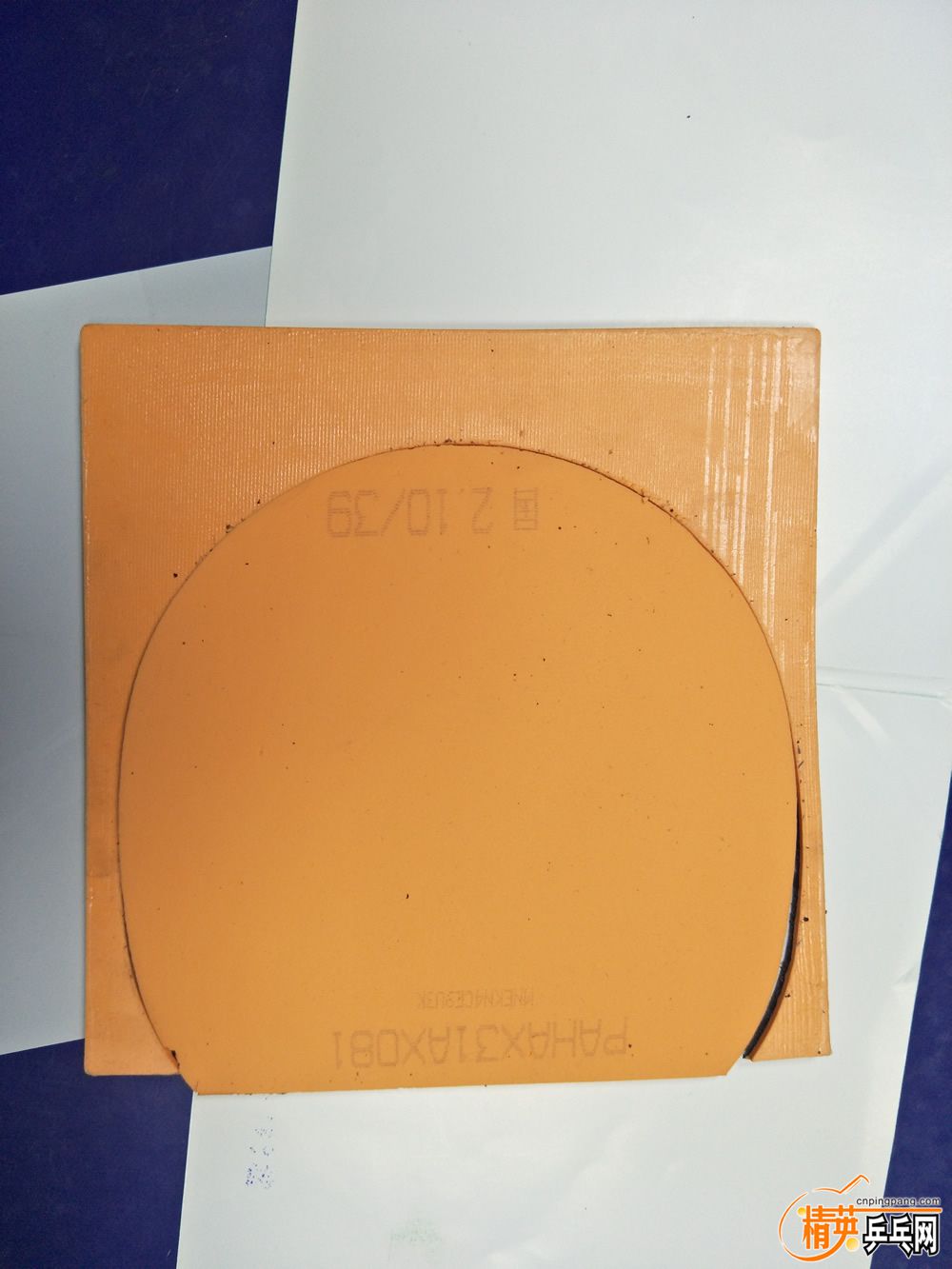 1867878566.jpg