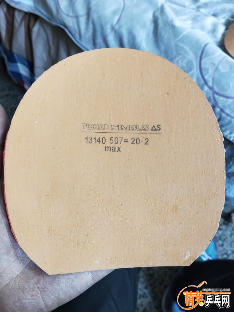 IMG20190406103505.jpg