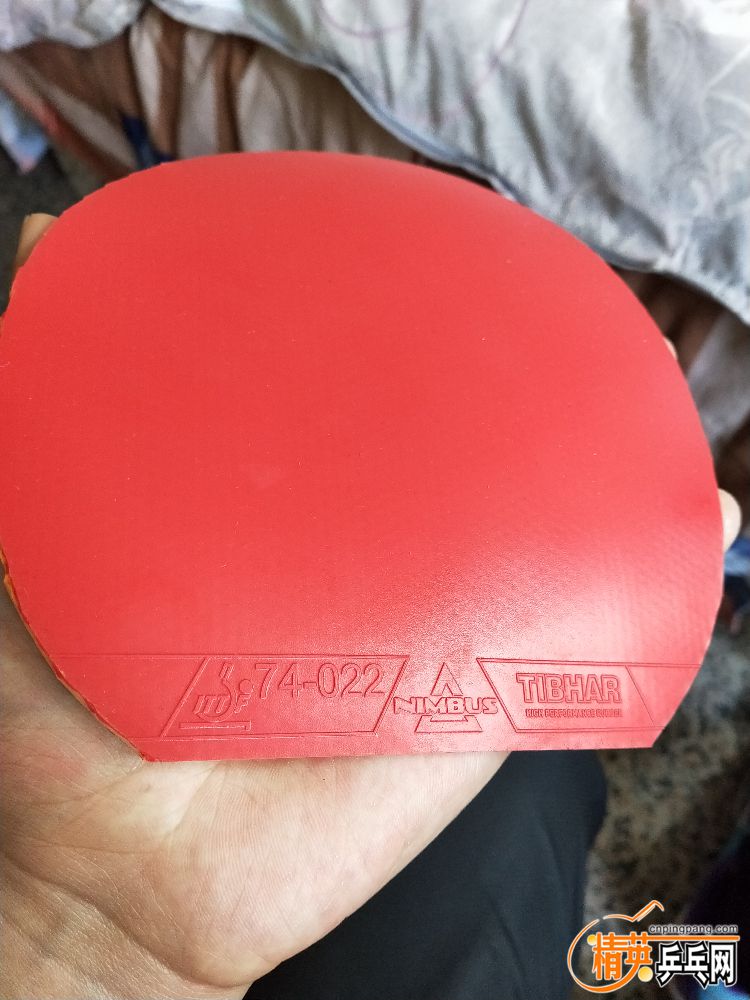 IMG20190406103512.jpg