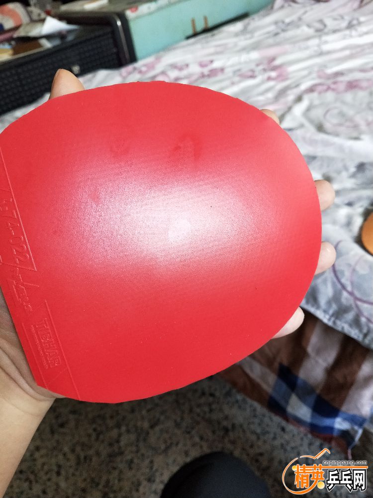 IMG20190406103518.jpg