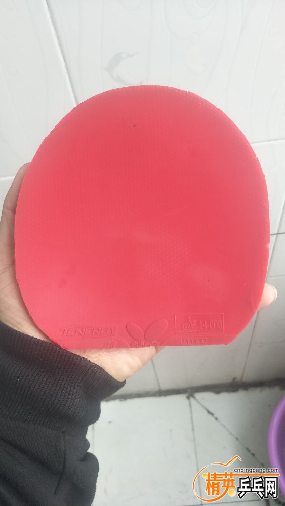 IMG20190408100904.jpg