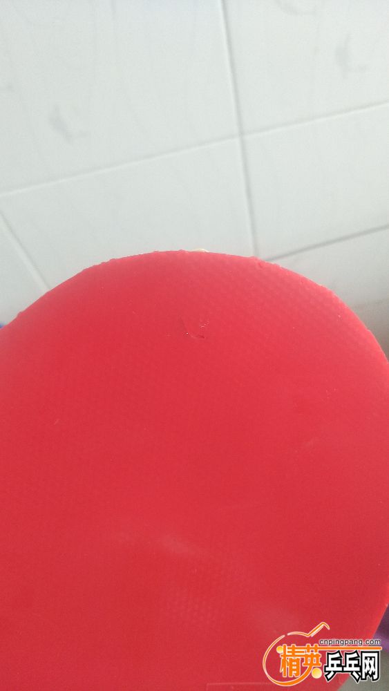 IMG20190408100918.jpg