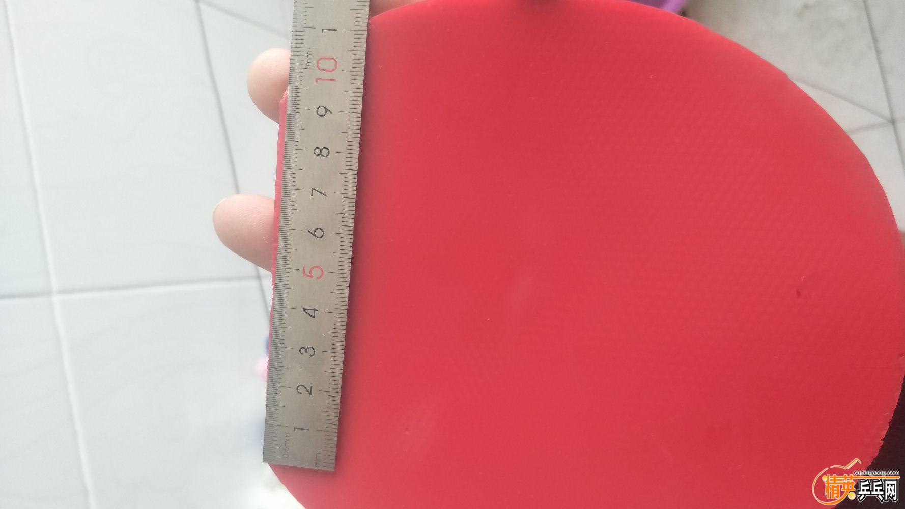 IMG20190408101101.jpg