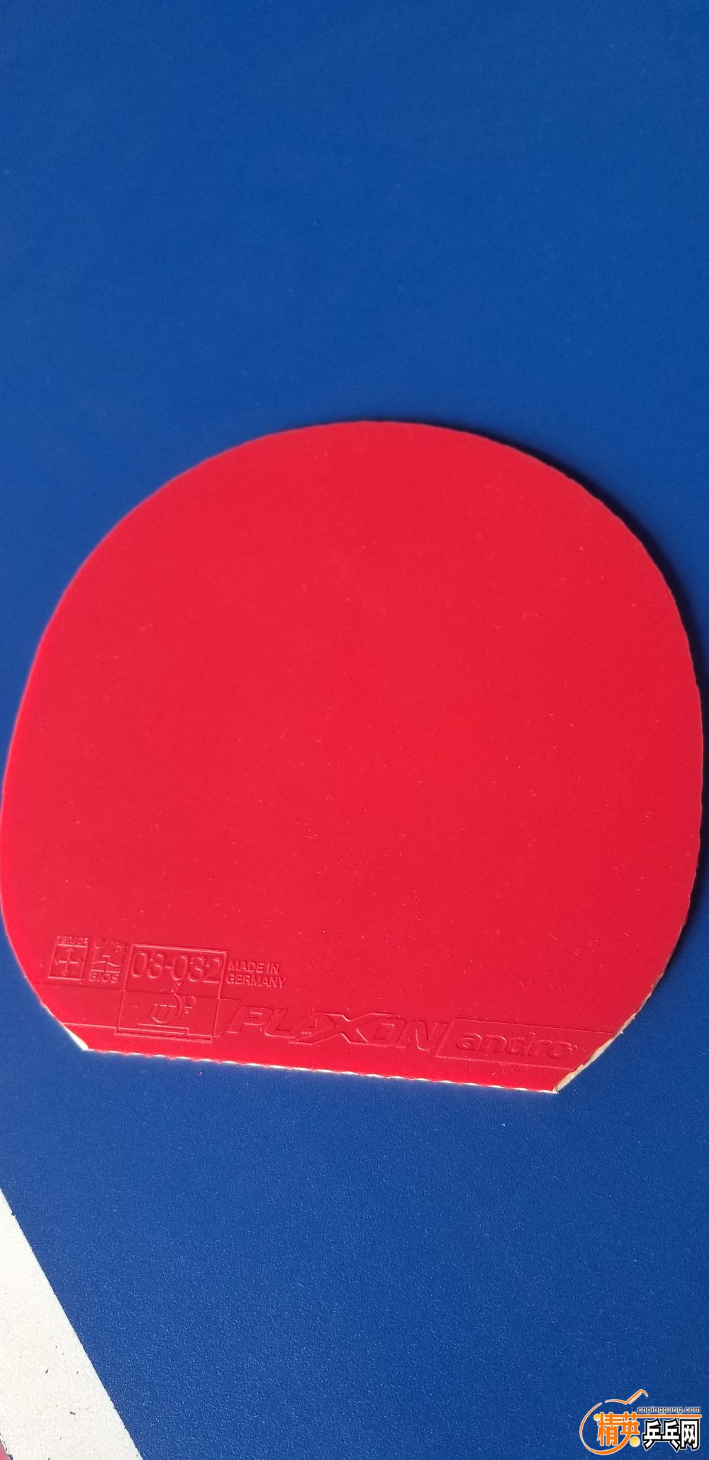 20190412_142438.jpg