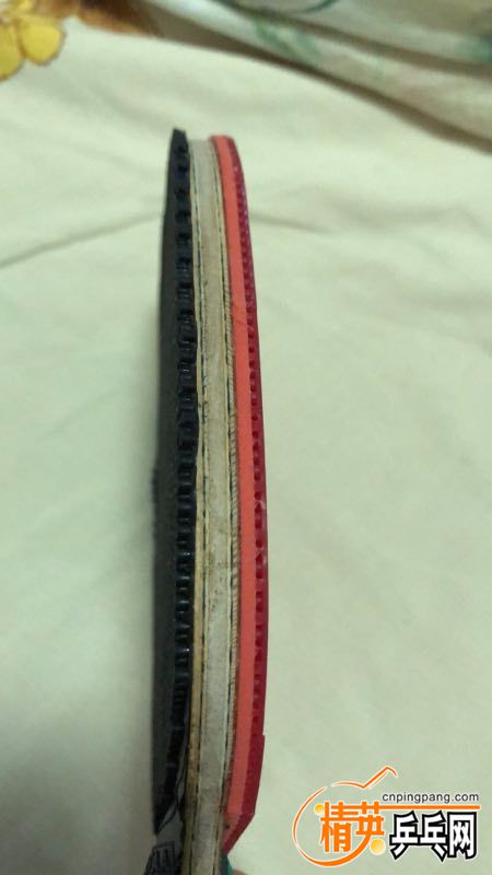 mmexport1555077462984.jpg