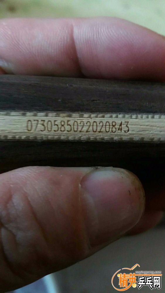 1555122113087.jpg