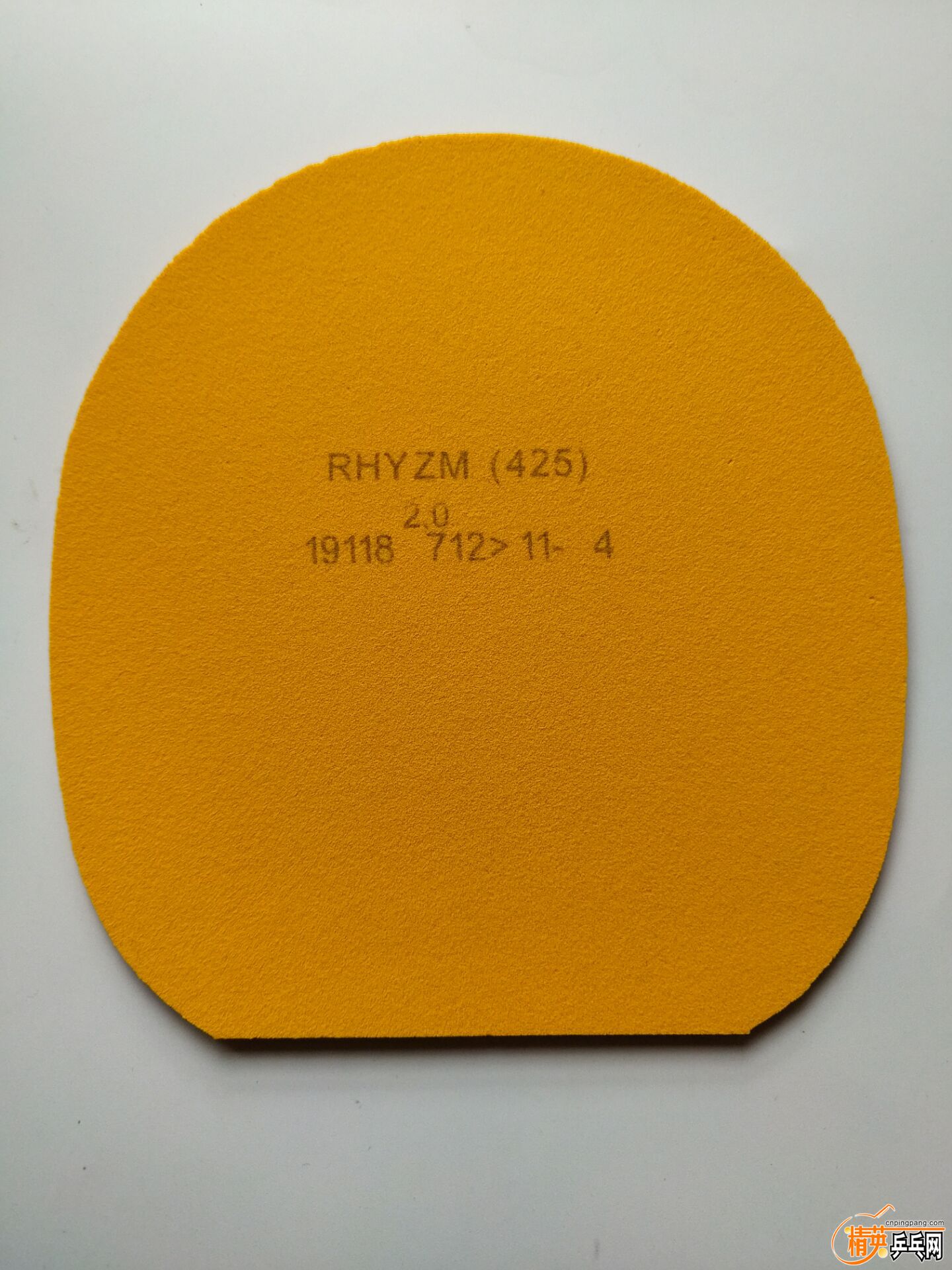 E3838422DBE61346A689E435A460922E.jpg