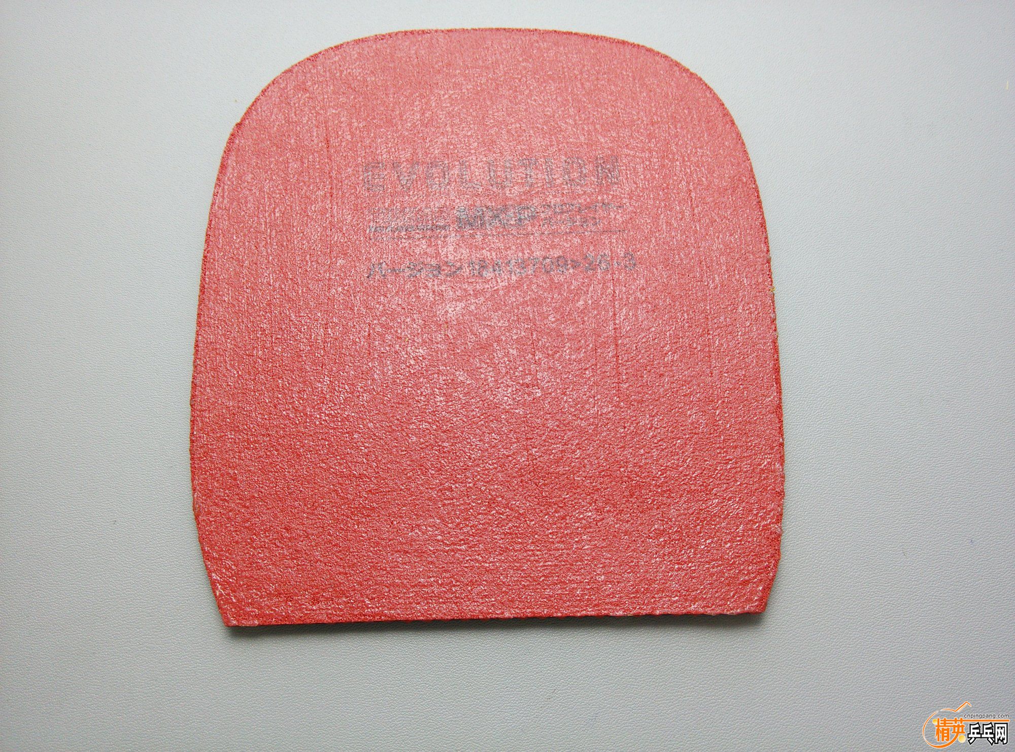 dsc_46589.jpg